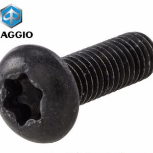 Bout Plaatwerk OEM M6x16 | Piaggio / Vespa