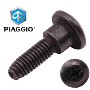 Bout kruiskop met borst | Piaggio Fly 2T / Fly 4T / Liberty 4T / Liberty Delivery 4T / Zip 2T / Zip 4T - Vespa LX 2T / LX 4T / S 2T / S 4T / Primavera 2T / Primavera 4T 2V / Primavera 4T 4V / Sprint 2T / Sprint 4T 2V / Spint 4T 4V