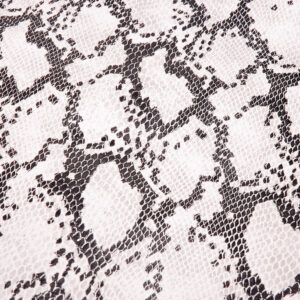 Buddydek Cobra | Peugeot Speedfight 1 / 2