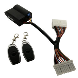 Toerenbegrenzer plug-and-play tussen draadboom. Regelbaar met remote / afstandbediening | Vespa Primavera / Sprint 4T 3V iGET E4 - Piaggio Zip 4T 3V iGET E4 / Piaggio Liberty S 3V iGET E4