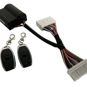 Toerenbegrenzer plug-and-play tussen draadboom. Met remote / afstandbediening (Eurobegrenzer) | Vespa Primavera / Sprint 4T 3V iGET E4 - Piaggio Zip 4T 3V iGET E4 / Piaggio Liberty S 3V iGET E4