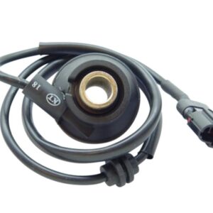 Digitaal / Sensor | Peugeot Vivacity / Speedfight-1