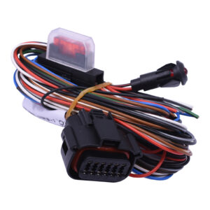 Aansluiting / kabelboom voor elektronisch alarm systeem Patrolline / Zw 9.15610 | Universeel toepasbaar - Niet plug-and-play