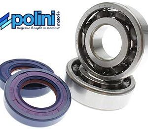 Aprilia ('06-) RX / SX / RS - Derbi Senda / Senda-R / Senda DRD / GPR - Gilera GSM / RCR / SMT / Zulu