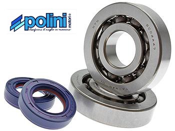 Aprilia Mojito (Piaggio) / SR (Piaggio) / SR-R (Piaggio) - Derbi Atlantis AC/LC (Piaggio) / Derbi Bullet (Piaggio) / Derbi GP1 - Gilera DNA / ICE / Runner / Runner SP / Storm - Italjet Jet Set / Torpedo - Piaggio Diesis / Fly / Free / Liberty / NRG / NTT / Quartz / Sfera / Storm / TPH / Zip / Zip SP - Vespa ET2 / LX / S / Primavera / Sprint