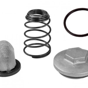 Aftapplug / olieplug / oliefilterplug | Dop / filter / veer - M30x1