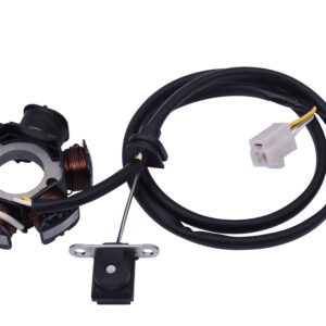 Ontsteking | Peugeot Buxy ('98-) / Elyseo / Elystar / Speedake / Speedfight 1 AC/LC / Speedfight 2 AC/LC / Squab / TKR / Trekker / Vivacity (-'08)  ( = 011790 )