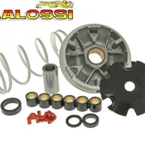 Minarelli Horizontaal / Verticaal | Aprilia Amico / Area 51 / Gulliver / Rally / SR / Scarabeo / Sonic - Benelli 491 / K2 / Naked - Beta Ark / Chrono / Eikon / Quadra / Tempo - Italjet Dragster / Pista / Scoop / Yankee - Malaguti Centro / F10 / F12 Phantom / F15 Firefox / Yesterday / Yamaha Aerox / BW’s / Breeze / Jog / Slider / Neo’s / Why / Zuma