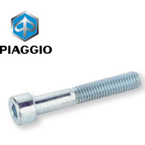 Inbusbout met vlakke zijde (in overeenstemming met EU-Verordening 44/2014 bijlage II maatregelen tegen manipulatie)