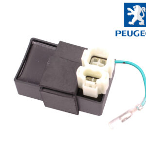 Peugeot Kisbee 4T / Django 4T ( Groene draad )