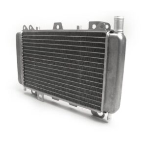 Radiateur Gilera Runner FXR VXR 125cc 180cc 200cc Origineel Piaggio